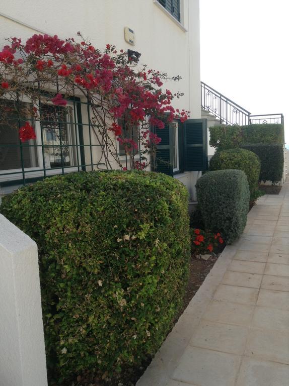 Pelagos Hill Apartment 파포스 외부 사진